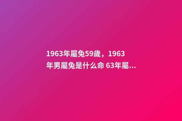 1963年屬兔59歲，1963年男屬兔是什么命 63年屬兔的2022年的運勢，63年屬兔2023年運程及運勢
